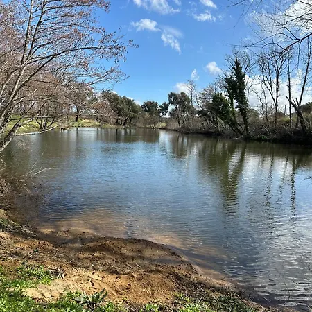 Magnifique T3 Renove Avec Gout Au Coeur Des Vignes