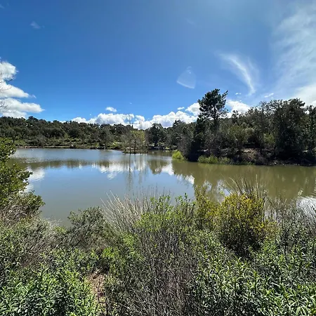 Magnifique T3 Renove Avec Gout Au Coeur Des Vignes Apartament *