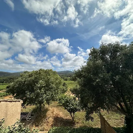 Magnifique T3 Renove Avec Gout Au Coeur Des Vignes Cogolin