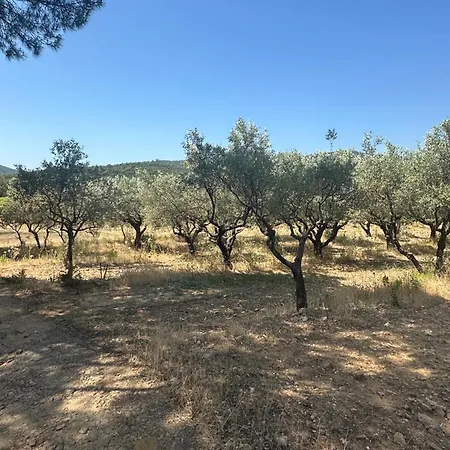 Apartament Magnifique T3 Renove Avec Gout Au Coeur Des Vignes *