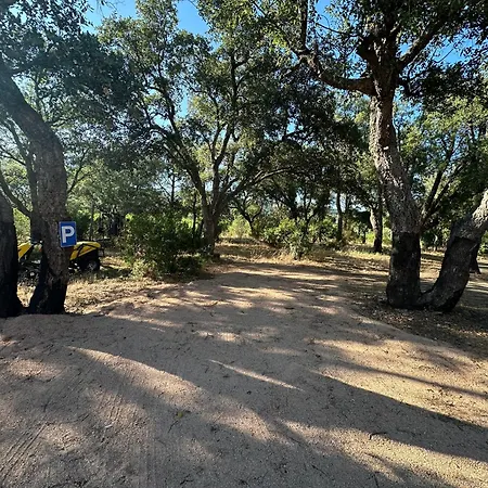 Magnifique T3 Renove Avec Gout Au Coeur Des Vignes